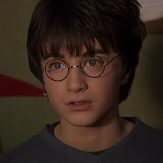 Гарри Поттер sticker 🤨