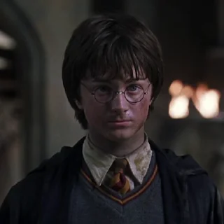 Гарри Поттер sticker 😡