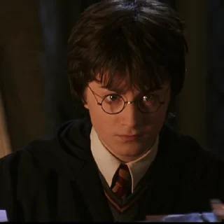 Гарри Поттер sticker 🤨