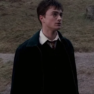 #5 Гарри Поттер  sticker 🙄
