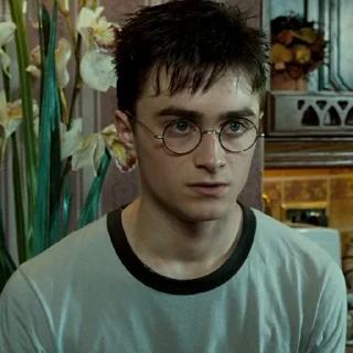 #5 Гарри Поттер  sticker 😕