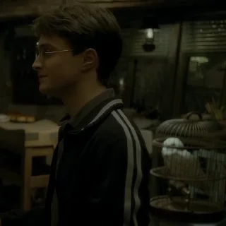 Эмодзи #6 Гарри Поттер 🫂
