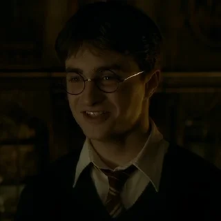 #6 Гарри Поттер  sticker 😏