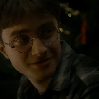 #6 Гарри Поттер  sticker 🍪