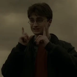 #6 Гарри Поттер  sticker 🕷