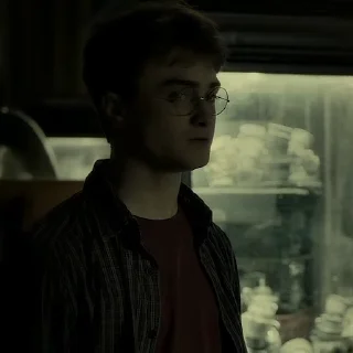 #6 Гарри Поттер stiker 😨