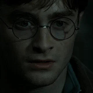 #8 Гарри Поттер  sticker 😳