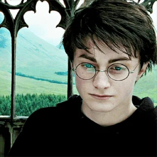 Harry Potter sticker 😐