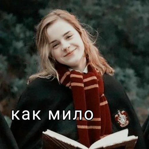 Стікер Telegram «Harry Potter» 🥺