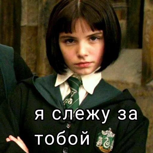 Стікер Harry Potter 👹