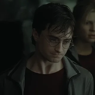 #7 Гарри Поттер sticker 😟