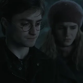 #7 Гарри Поттер sticker 🥰