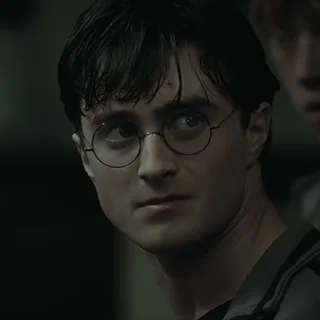 #7 Гарри Поттер stiker 🙁