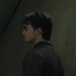 #7 Гарри Поттер stiker 🕺