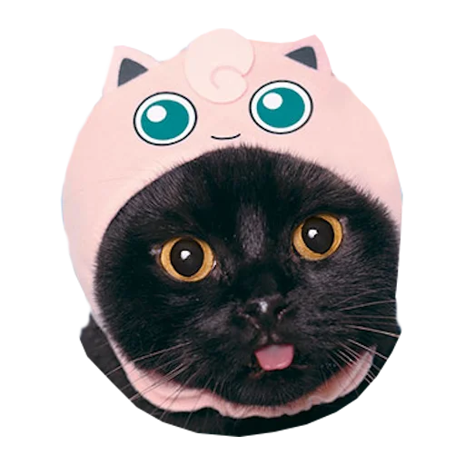 Стикер Telegram «Cats in hats» ?