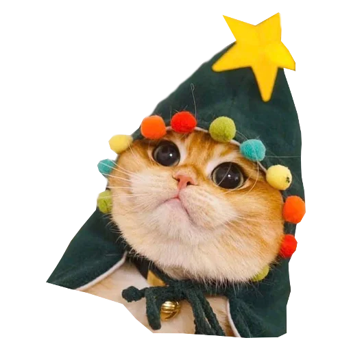 Емодзі Cats in hats ⭐