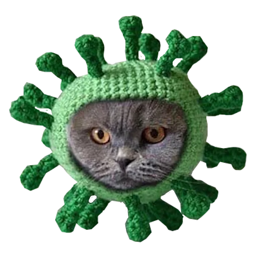 Стикер Cats in hats 🦠