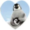 Емодзі Telegram «Сердечки | Hearts» ❤️