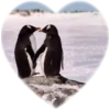 Telegram emoji «Сердечки | Hearts» ❤️
