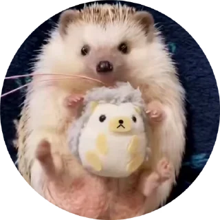Эмодзи Hedgehog 🦔