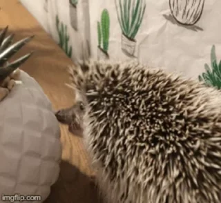 Hedgehog sticker 🦔