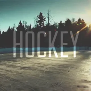 Hockey sticker 🏒