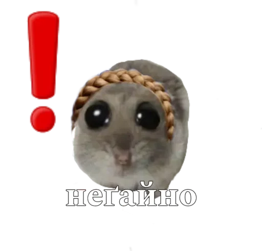 Telegram Sticker «sad hamster» 🥺