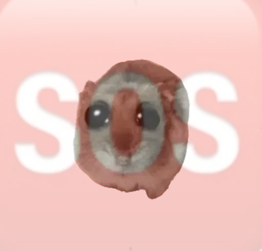 sad hamster sticker 😑