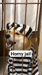 Эмодзи Horny Jail 🏏