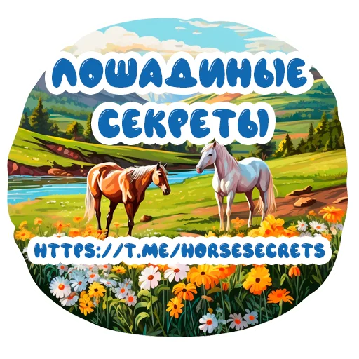 Telegram stickers Horse Secrets