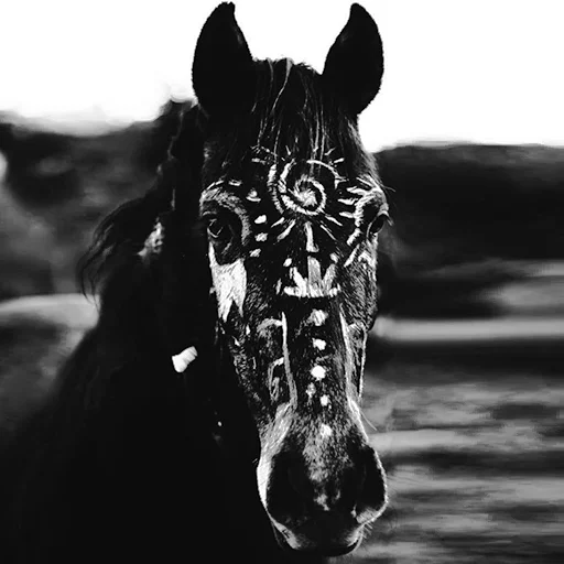 Horses emoji 💫