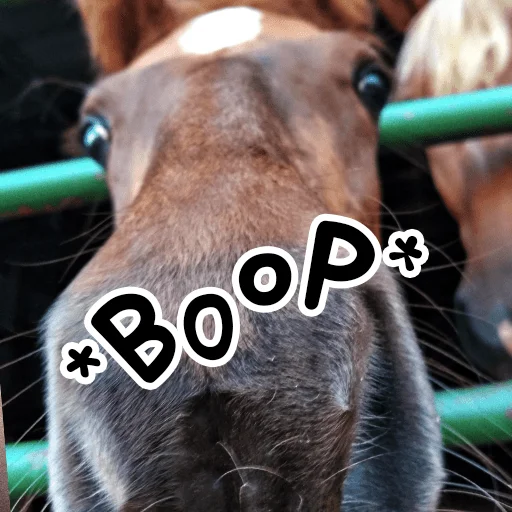Telegram Sticker «Horses» 🐴