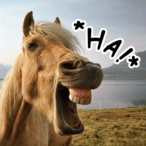 Telegram Sticker «Horses» 😆