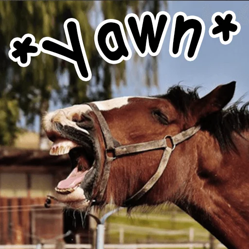 Horses emoji 🥱