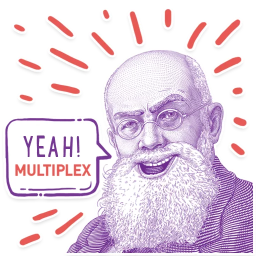 Hrushevsky_Multiplex sticker 😎