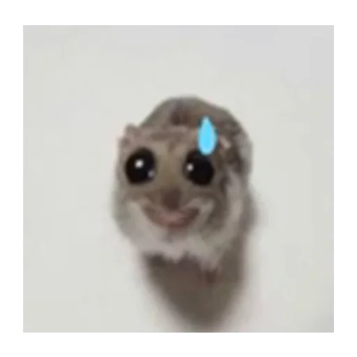 sad hamster sticker 😢