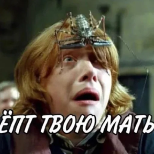 Стікер Telegram «Harry Potter | Гарри Поттер» 😐