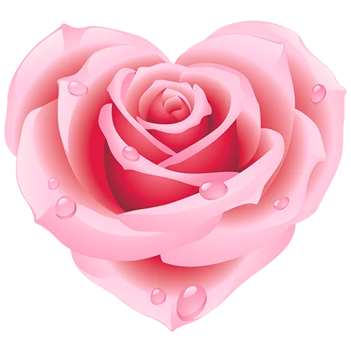 Heart ♥️ Flower stiker ❤