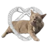 Telegram emoji «is hello kitty okay? ♡» 🐈