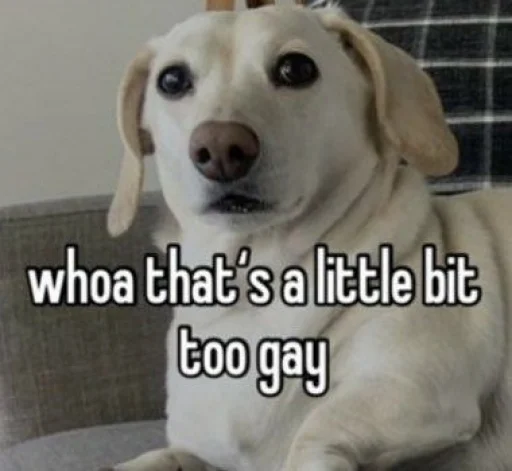 homophobic dog emoji 😖