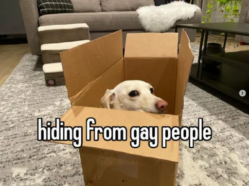 homophobic dog emoji 📦