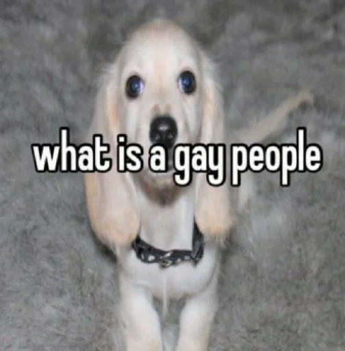 homophobic dog emoji 😳