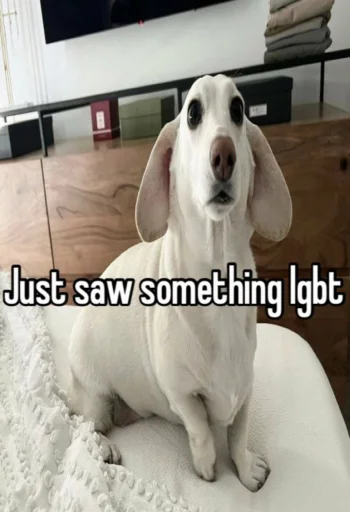 homophobic dog emoji 😒