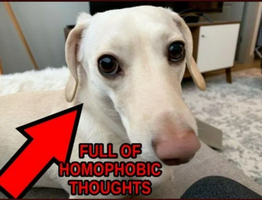 Стікер Telegram «homophobic dog» 💭