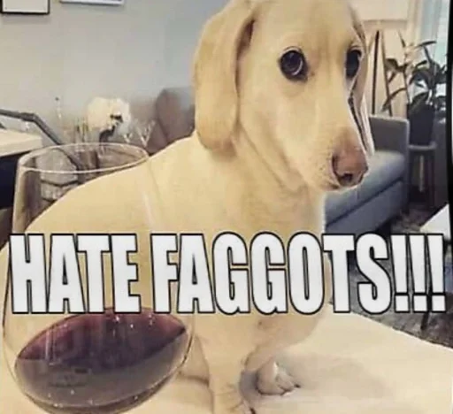 Стикер Telegram «homophobic dog» ‼️