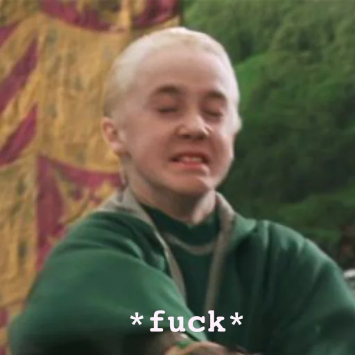 Fucking Draco Malfoy sticker 🤧