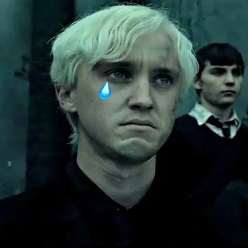 Fucking Draco Malfoy sticker 😢