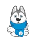 Ulayka the Husky emoji 🥶