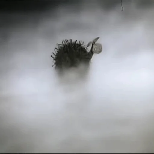 Емодзі Ёжик в тумане 🦔