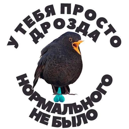 Telegram Sticker «in DROZDeggs colour» 👍